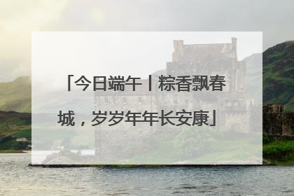 今日端午丨粽香飘春城，岁岁年年长安康