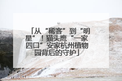 从“稀客”到“明星”！猫头鹰“一家四口”安家杭州植物园背后的守护