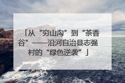 从“穷山沟”到“茶香谷”——沿河自治县志强村的“绿色逆袭”
