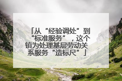 从“经验调处”到“标准服务”，这个镇为处理基层劳动关系服务“造标尺”