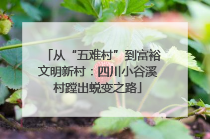 从“五难村”到富裕文明新村：四川小谷溪村蹚出蜕变之路