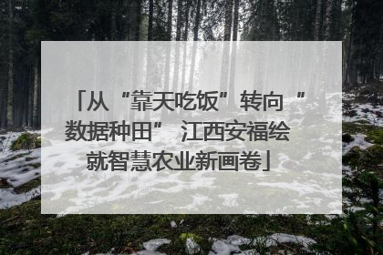 从“靠天吃饭”转向“数据种田” 江西安福绘就智慧农业新画卷