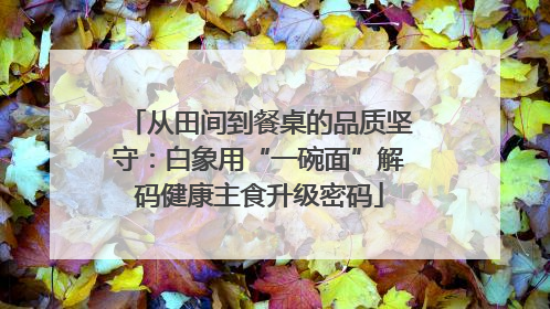 从田间到餐桌的品质坚守：白象用“一碗面”解码健康主食升级密码