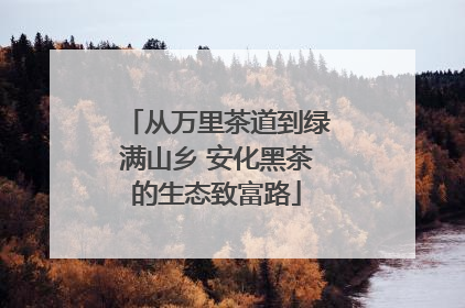 从万里茶道到绿满山乡 安化黑茶的生态致富路