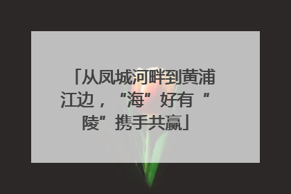 从凤城河畔到黄浦江边，“海”好有“陵”携手共赢