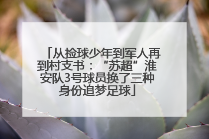 从捡球少年到军人再到村支书：“苏超”淮安队3号球员换了三种身份追梦足球