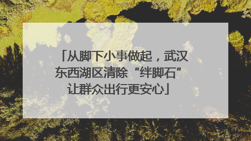 从脚下小事做起，武汉东西湖区清除“绊脚石”让群众出行更安心