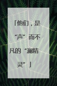 他们，是“声”而不凡的“澜精灵”