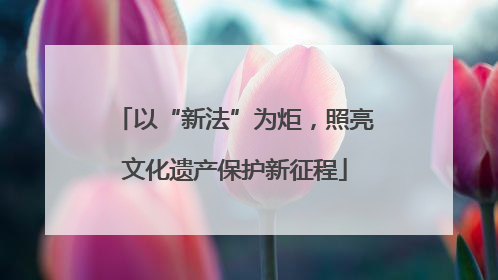 以“新法”为炬，照亮文化遗产保护新征程