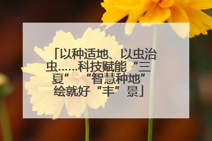 以种适地、以虫治虫……科技赋能“三夏” “智慧种地”绘就好“丰”景