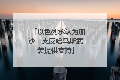 以色列承认为加沙一支反哈马斯武装提供支持