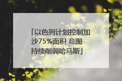 以色列计划控制加沙75%面积 意图持续削弱哈马斯