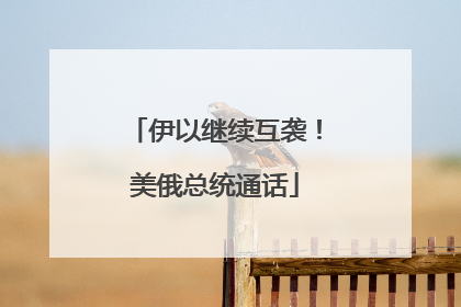 伊以继续互袭！美俄总统通话