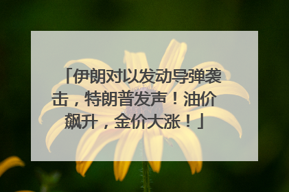 伊朗对以发动导弹袭击，特朗普发声！油价飙升，金价大涨！