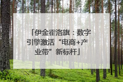 伊金霍洛旗：数字引擎激活“电商+产业带”新标杆