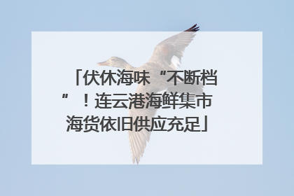 伏休海味“不断档”！连云港海鲜集市海货依旧供应充足