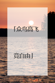 众鸟高飞竞自由