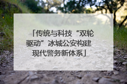 传统与科技“双轮驱动”冰城公安构建现代警务新体系