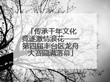 传承千年文化 竞逐激情浪花——第四届丰台区龙舟大赛圆满落幕