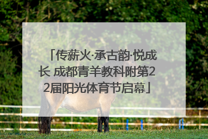 传薪火·承古韵·悦成长 成都青羊教科附第22届阳光体育节启幕