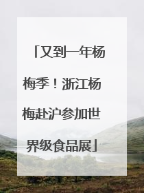 又到一年杨梅季！浙江杨梅赴沪参加世界级食品展