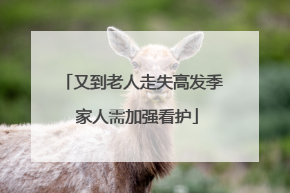 又到老人走失高发季 家人需加强看护