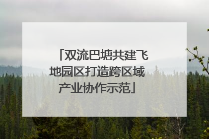 双流巴塘共建飞地园区打造跨区域产业协作示范