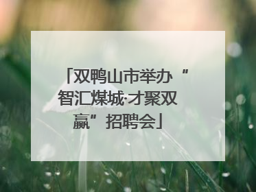 双鸭山市举办“智汇煤城·才聚双赢”招聘会