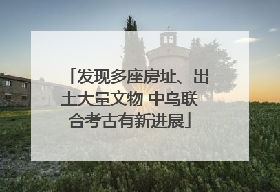 发现多座房址、出土大量文物 中乌联合考古有新进展