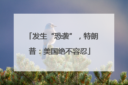 发生“恐袭”，特朗普：美国绝不容忍