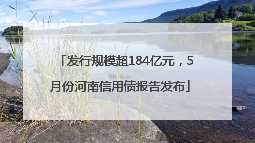 发行规模超184亿元，5月份河南信用债报告发布