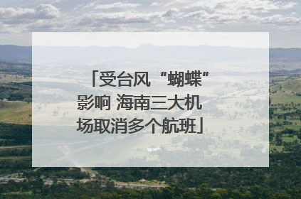 受台风“蝴蝶”影响 海南三大机场取消多个航班