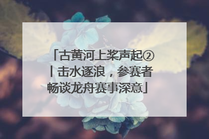 古黄河上桨声起②丨击水逐浪，参赛者畅谈龙舟赛事深意