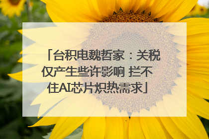 台积电魏哲家：关税仅产生些许影响 拦不住AI芯片炽热需求