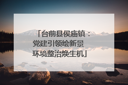 台前县侯庙镇：党建引领绘新景 环境整治焕生机