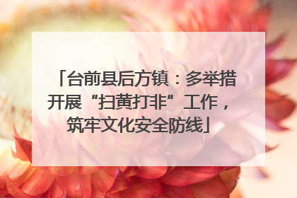 台前县后方镇：多举措开展“扫黄打非”工作，筑牢文化安全防线