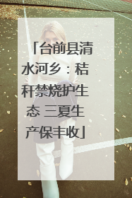 台前县清水河乡：秸秆禁烧护生态 三夏生产保丰收