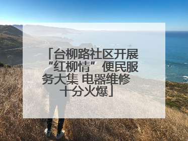 台柳路社区开展“红柳情”便民服务大集 电器维修十分火爆