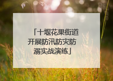 十堰花果街道开展防汛防灾防溺实战演练