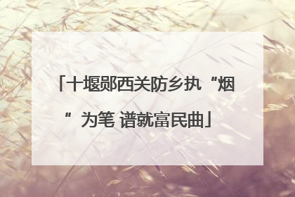 十堰郧西关防乡执“烟”为笔 谱就富民曲
