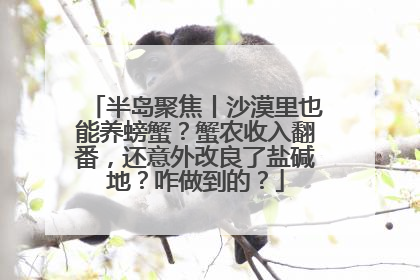 半岛聚焦丨沙漠里也能养螃蟹？蟹农收入翻番，还意外改良了盐碱地？咋做到的？