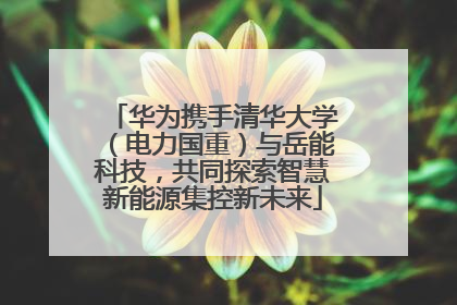 华为携手清华大学（电力国重）与岳能科技，共同探索智慧新能源集控新未来