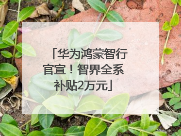 华为鸿蒙智行官宣！智界全系补贴2万元