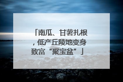 南瓜、甘薯扎根，低产丘陵地变身致富“聚宝盆”