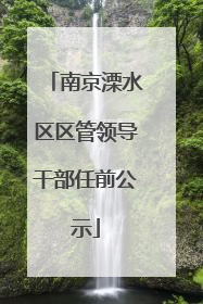 南京溧水区区管领导干部任前公示
