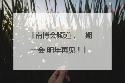 南博会频道，一期一会 明年再见！