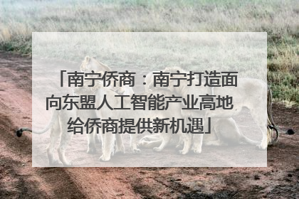 南宁侨商：南宁打造面向东盟人工智能产业高地给侨商提供新机遇