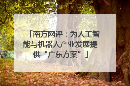 南方网评：为人工智能与机器人产业发展提供“广东方案”