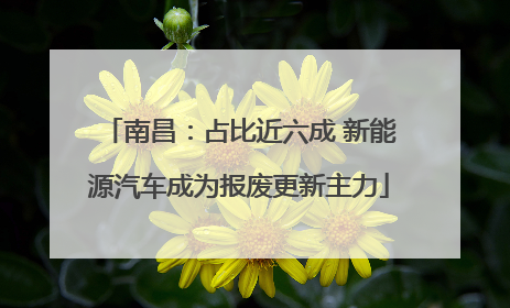 南昌：占比近六成 新能源汽车成为报废更新主力