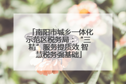 南阳市城乡一体化示范区税务局：“三精”服务提质效 智慧税务强基础